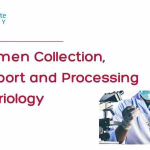 Specimen Collection, Transport and Processing Bacteriology