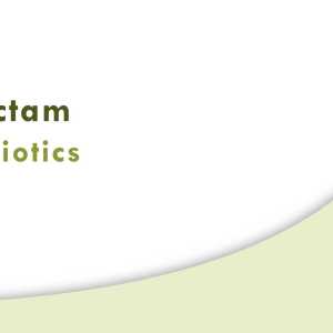 Beta-Lactam Antibiotics