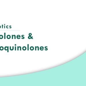 Quinolones & Fluoroquinolones | Antibiotics