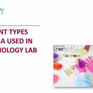 Different Types of Media used in Microbiology Labs