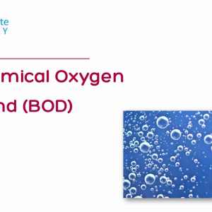 Biochemical Oxygen Demand (BOD)