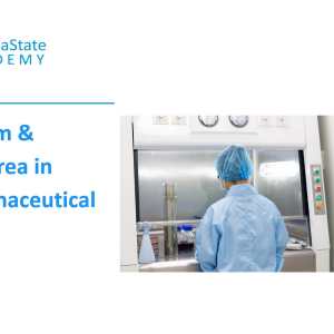 Cleanroom and Aseptic Area in the Pharmaceutical Industry