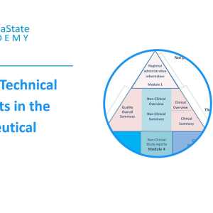 Common Technical Documents in the Pharmaceutical Industry